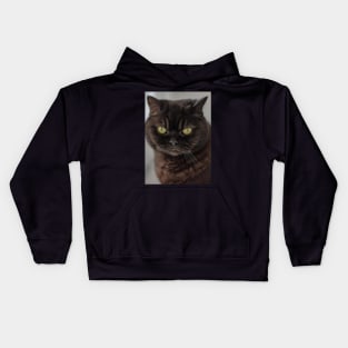 British Shorthair Green Eyes Kids Hoodie